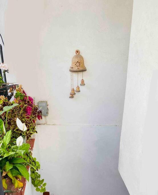 شقة Bonito Y Comodo Departamento En Taxco! المظهر الخارجي الصورة